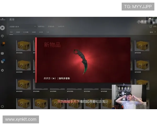 JDG战队在英雄联盟赛季中的转型与挑战分析