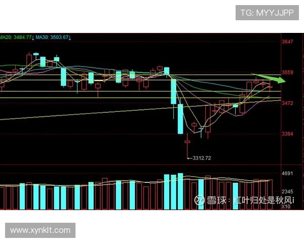南京羽毛球队与西安羽毛球队赛后复盘分析比赛节奏与战术对比